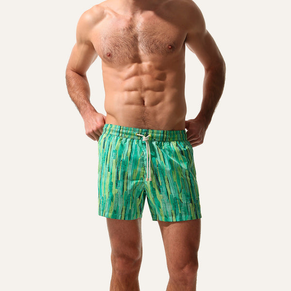 Swim Shorts Cactus Forest
