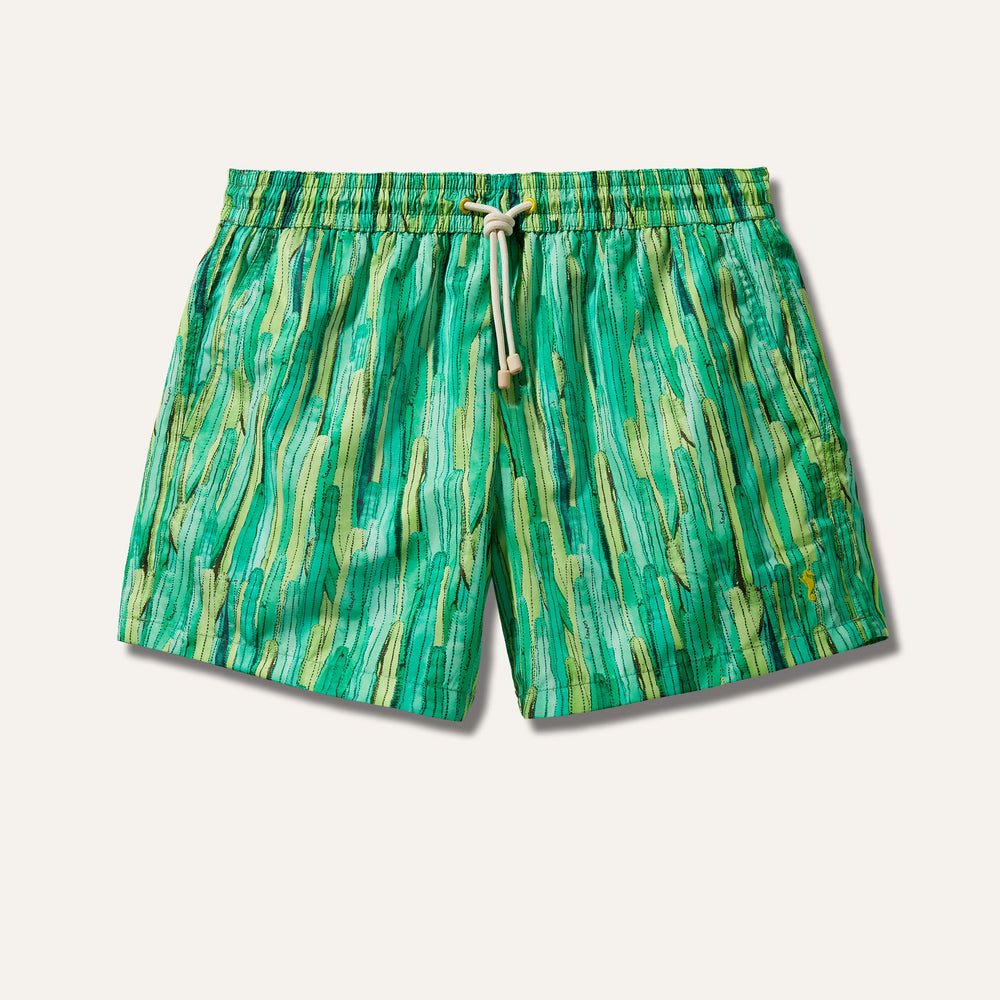 Swim Shorts Cactus Forest