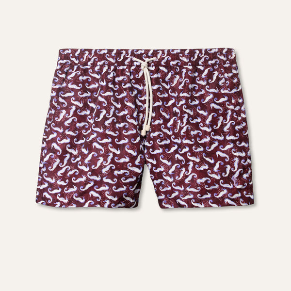 Swim Shorts Seahorse Burgundy